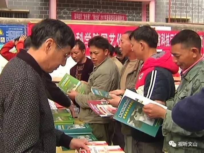作壁上观打一正确生肖详细解答、实时解答解释落实